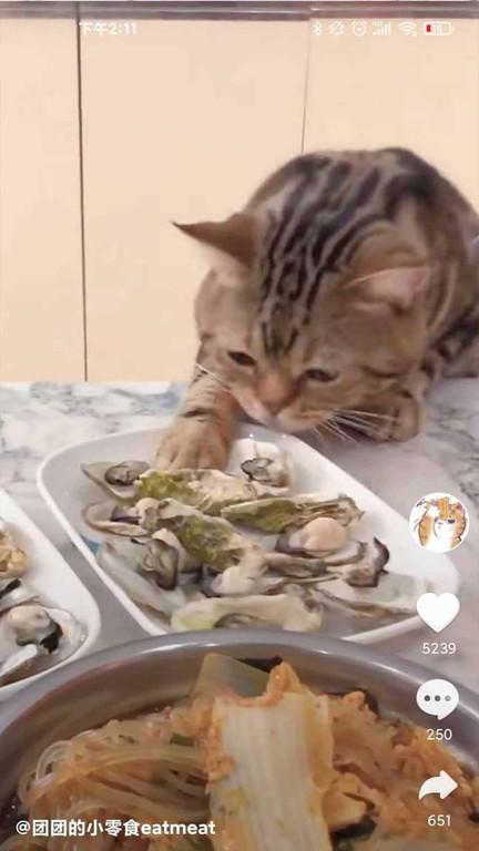 好刷app下载,短视频app,好刷